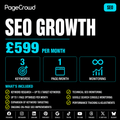 Search Engine Optimisation Growth (Add-On) Monthly Fee
